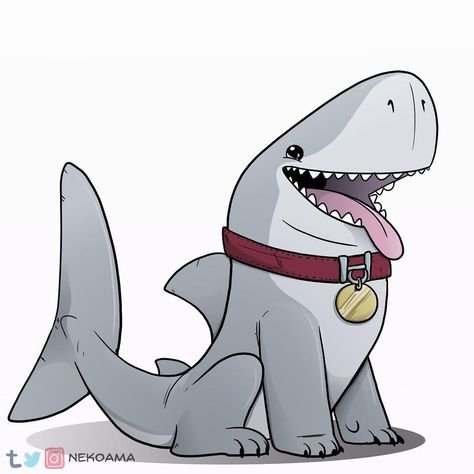 Собака акула