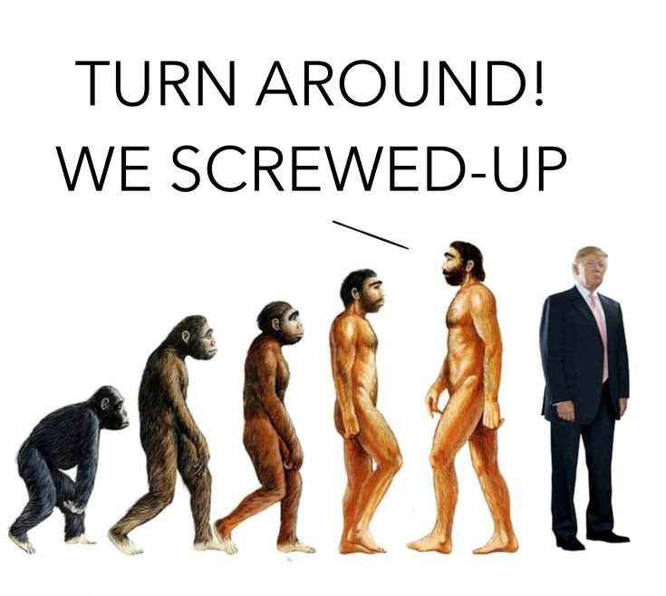 Мемы про эволюцию человека