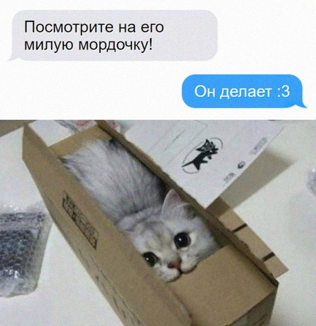 Что в коробке Мем