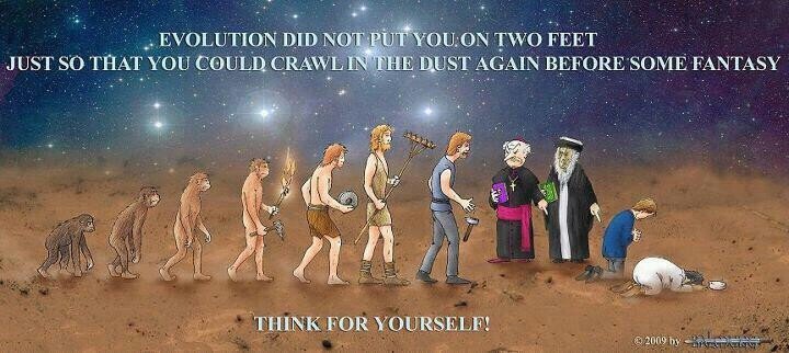 Эволюция человека шутка