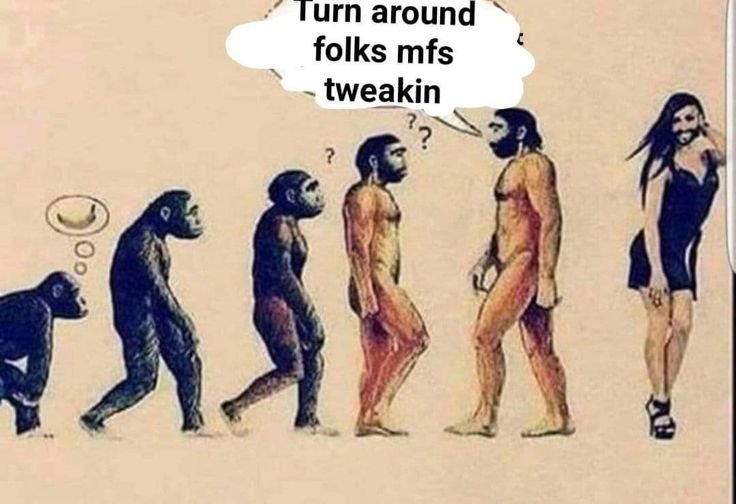 От обезьяны к человеку