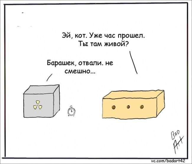 Шутки про квантовую физику