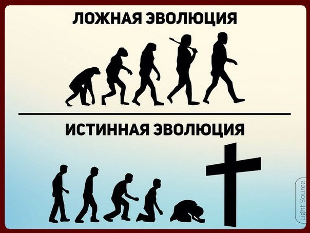 Теория эволюции теория креационизма