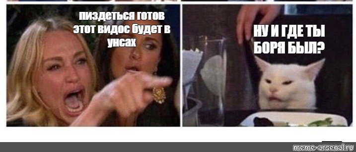 Кот доказывает