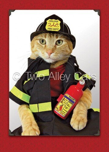 Кот в форме МЧС