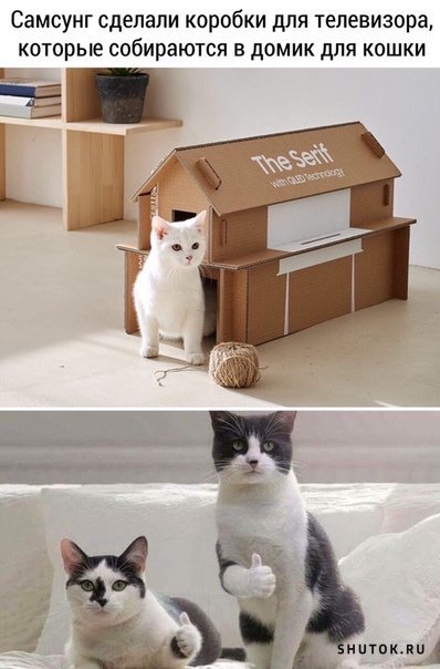 Домик для кота