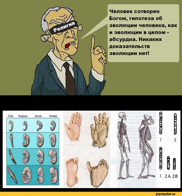 Шутки про эволюцию