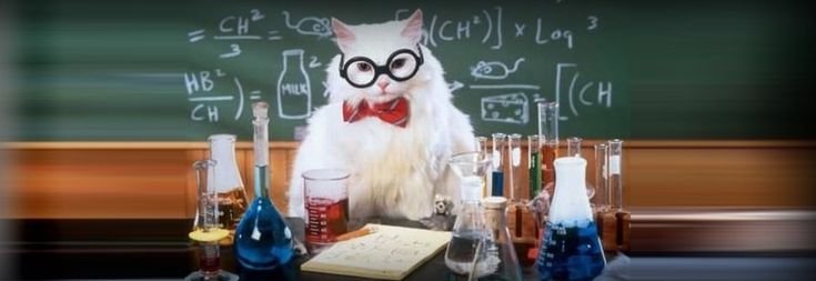 Кот Химик
