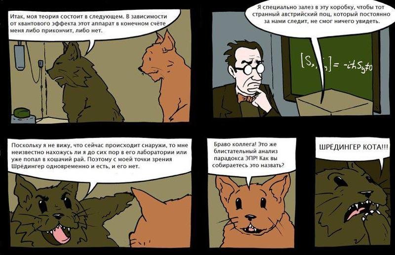 Кот Шредингера комикс