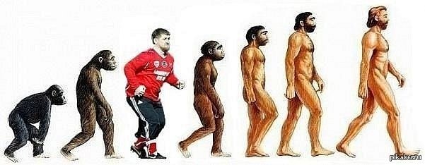 Человек превращается в обезьяну