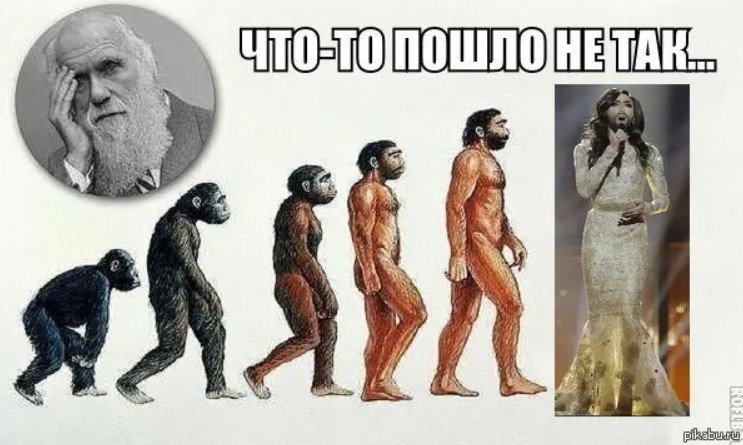 Человек произошел от обезьяны