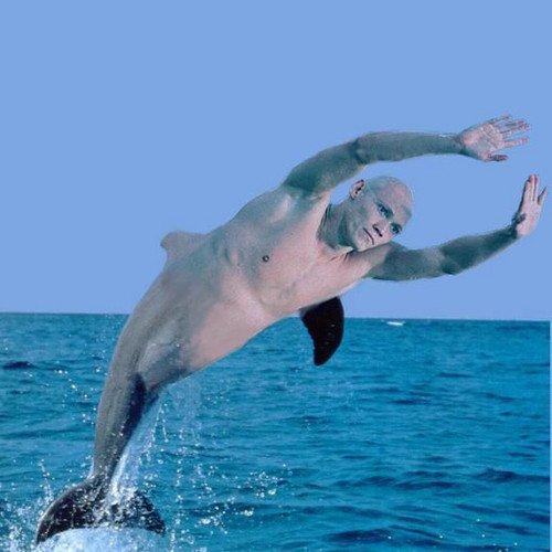 Человек дильфик