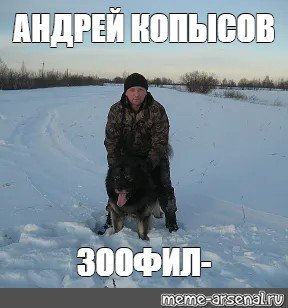 Мемы про охотничьих собак