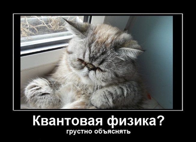 Квантовая физика приколы