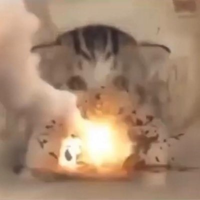 Позади кота взрыв