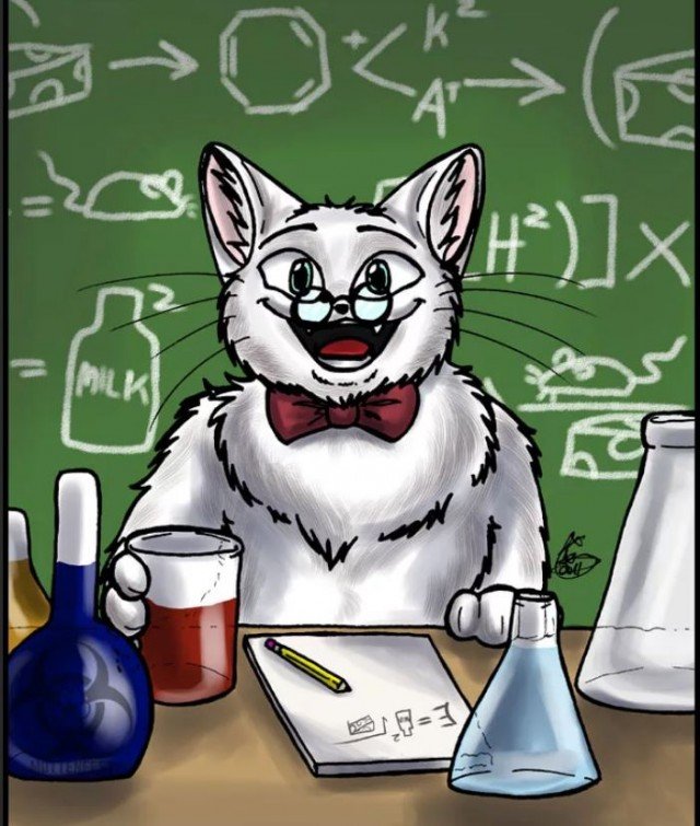 Коты химики