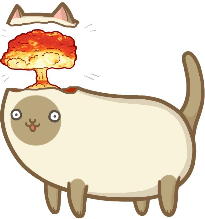 Кот на фоневзпыва