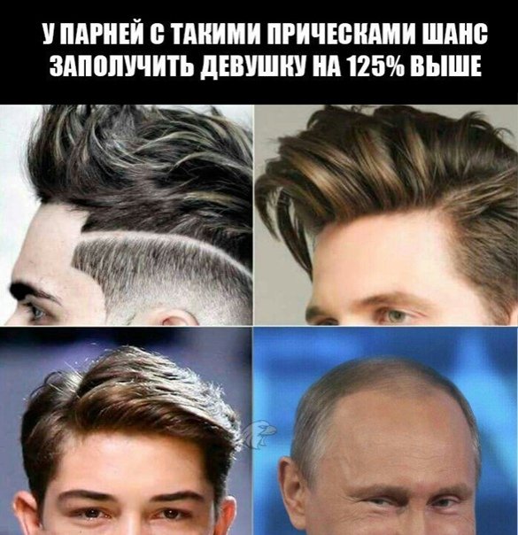 Прическа прикол