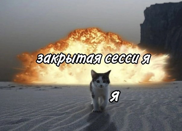 ОП вот я я я