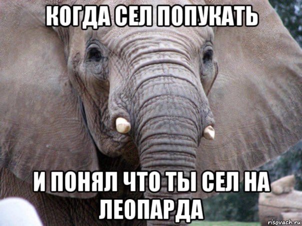 Человек слон