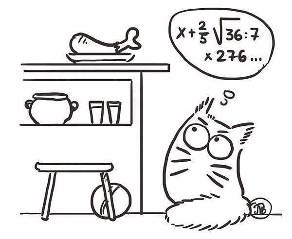 Кот математик