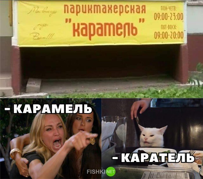 Мем с котом и девушками за столом