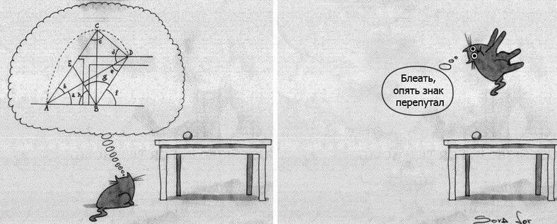Почему кошка прыгает не сразу картинка
