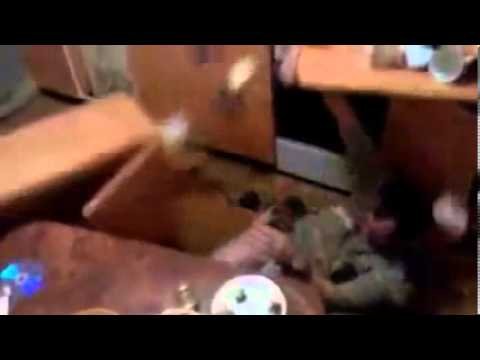 Мужик упал со шкафа на кухне