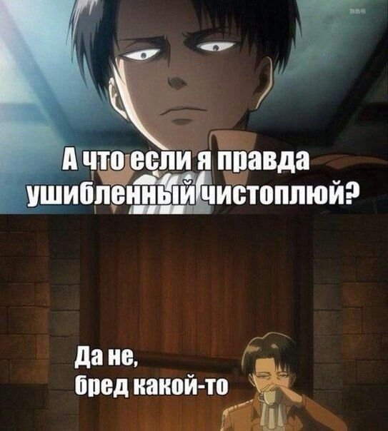 Леви Аккерман чистоплюй