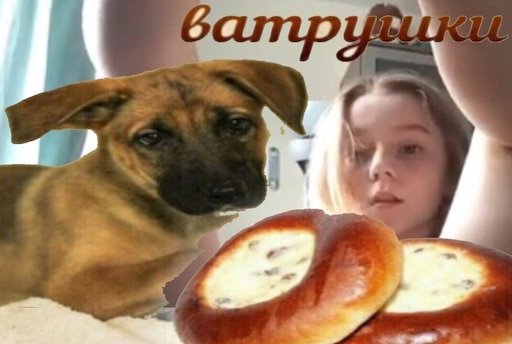 Ватрушки Мем с собакой