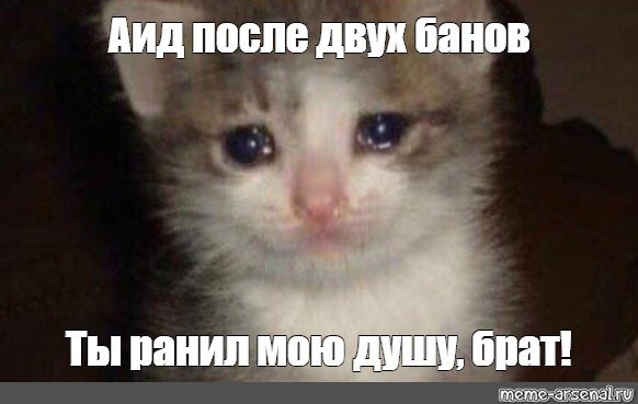 Мем с плачущим котом