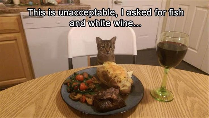 Кот за праздничным столом