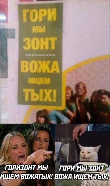 Женщина орет на кота