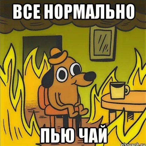 Мем собака в огне пьет чай