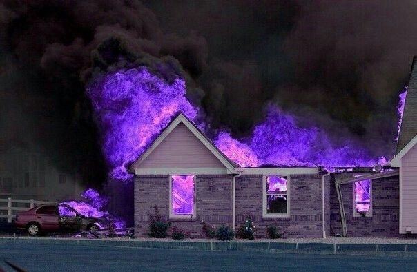 Котик на фоне пожара