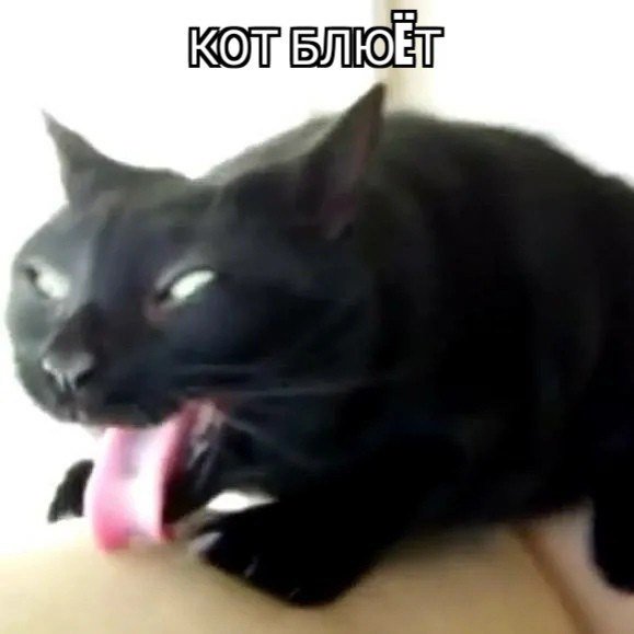 Кота тошнит