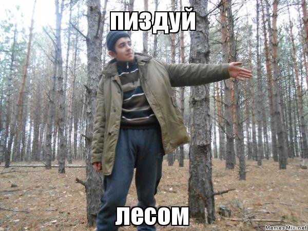 Лес Мем