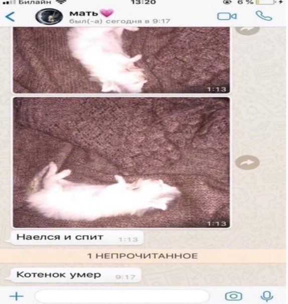 Наелся и спит Мем кот