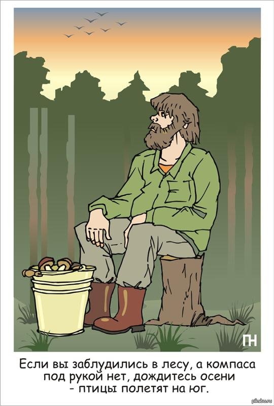 Анекдоты про заблудившихся в лесу