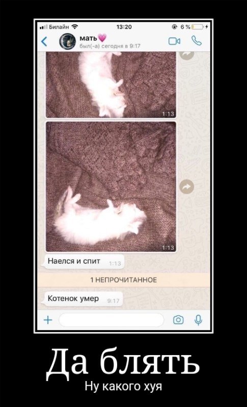 Наелся и спит кот