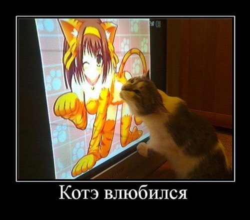 Про кошку аниме