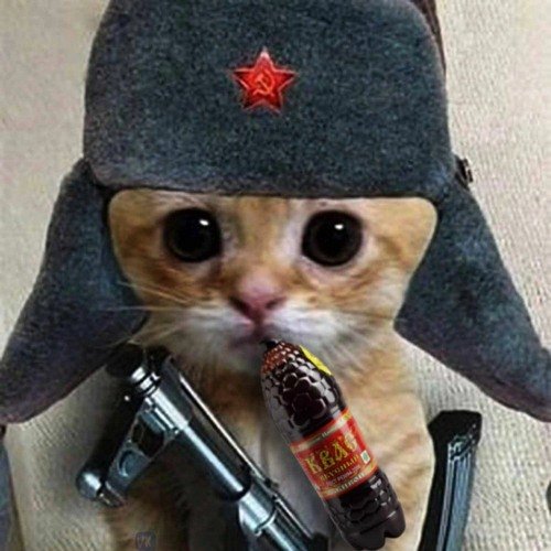 Прикольные аватарки