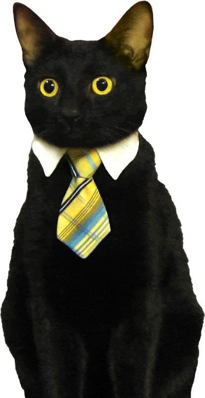 Костюм черного кота