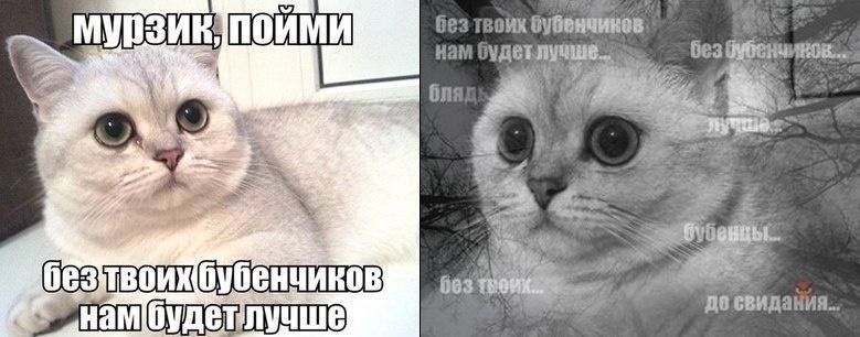 Бубенцы мемы