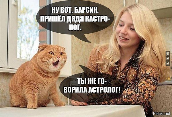 Шутки про кастрированных котов