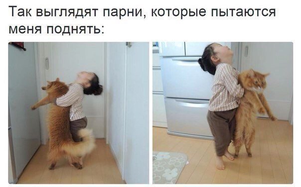 Мем девочка поднимает кота