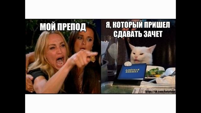 Популярный Мем с котом за столом