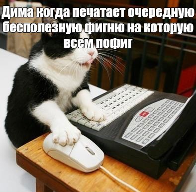 Котик за компьютером