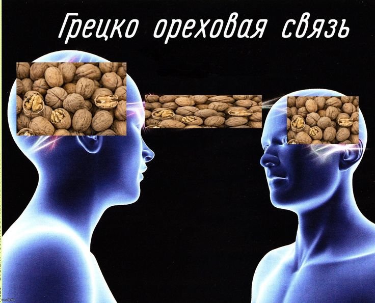 Ореховая связь Мем