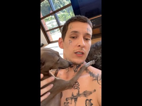 Слив кизару